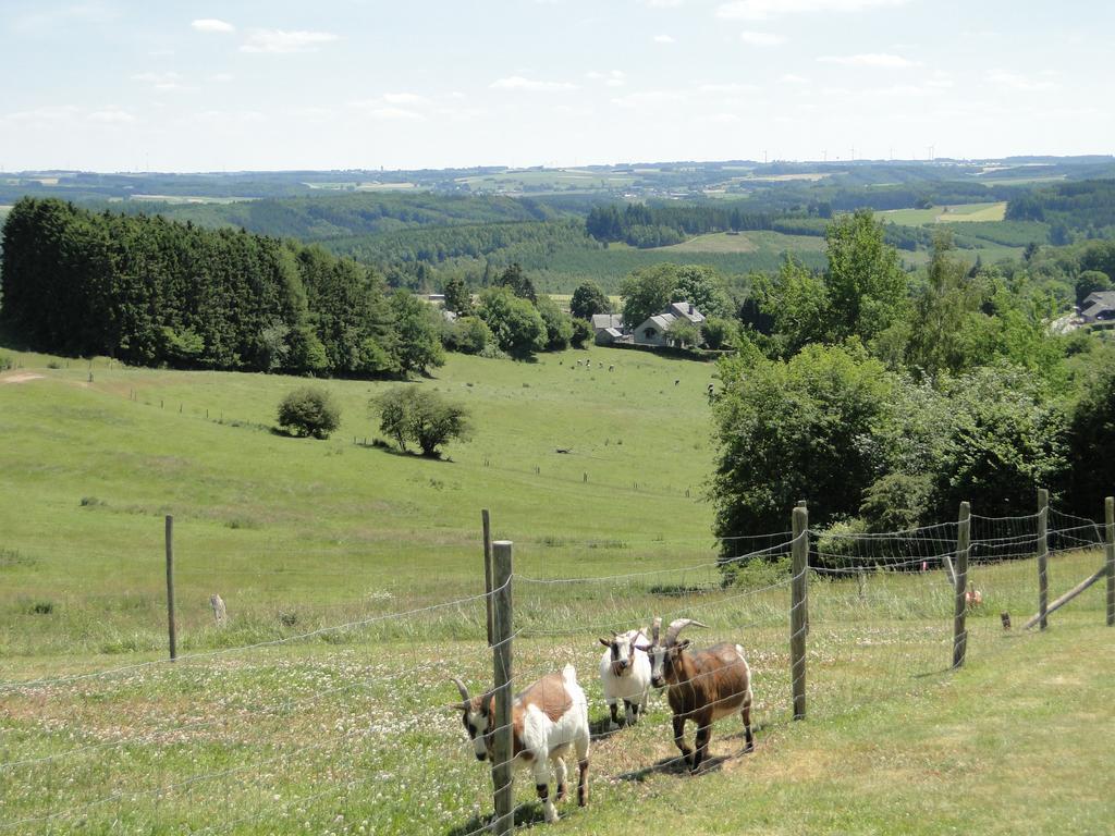 Holiday Home A Pas De Loup La-Roche-en-Ardenne Chambre photo